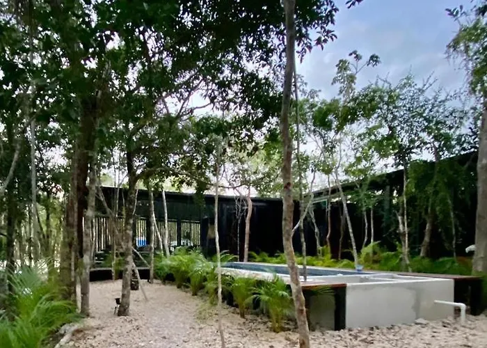 Pensión Room In The Jungle + Private Natural Cenote Tulum