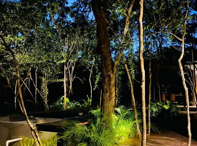 Room In The Jungle + Private Natural Cenote