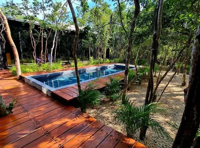Room In The Jungle + Private Natural Cenote