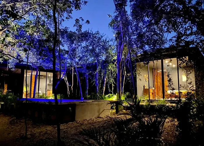 Room In The Jungle + Private Natural Cenote