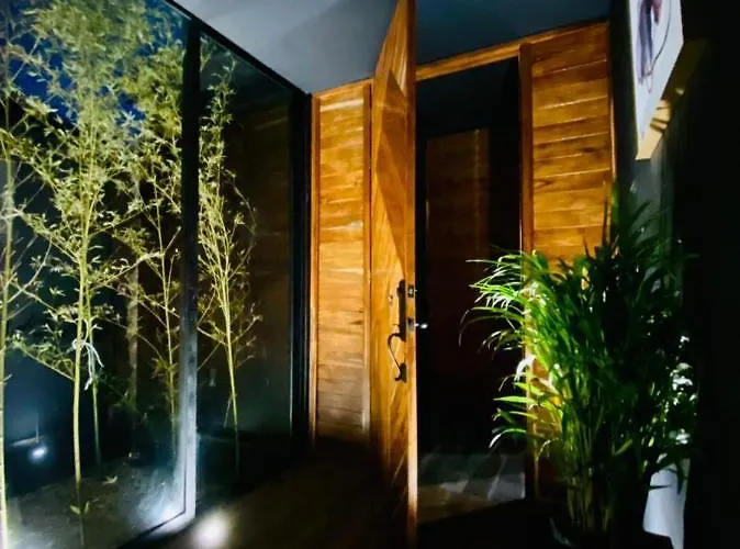 Pensión Room In The Jungle + Private Natural Cenote