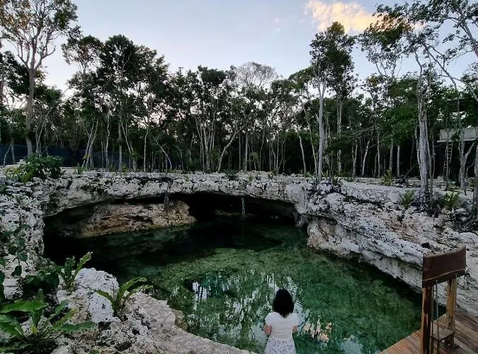 Room In The Jungle + Private Natural Cenote * Tulum