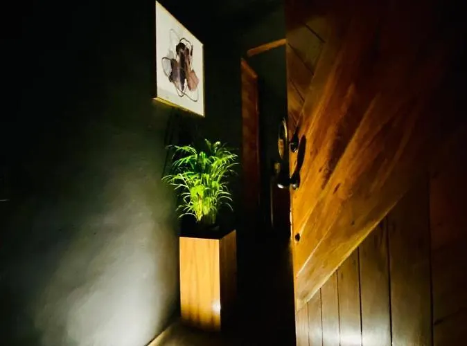 Room In The Jungle + Private Natural Cenote * Tulum