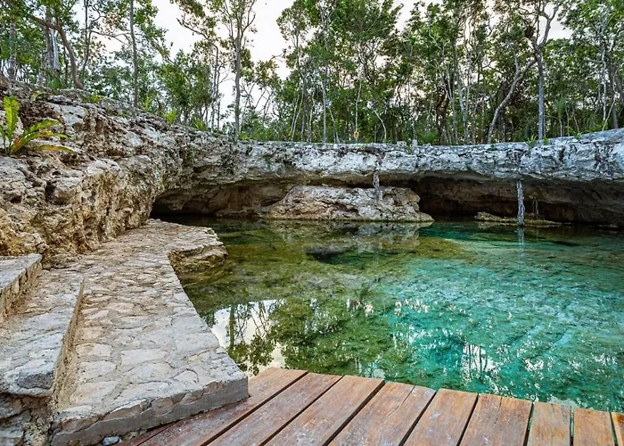 Room In The Jungle + Private Natural Cenote Pensión