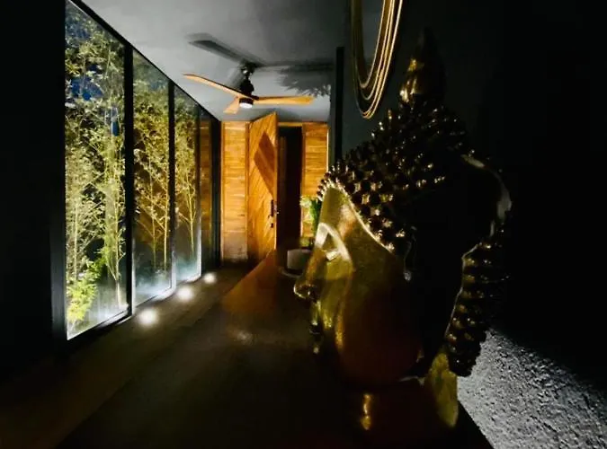 Room In The Jungle + Private Natural Cenote Pensión *