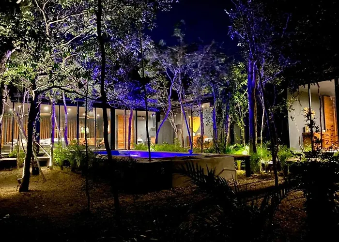 Room In The Jungle + Private Natural Cenote Pensión *